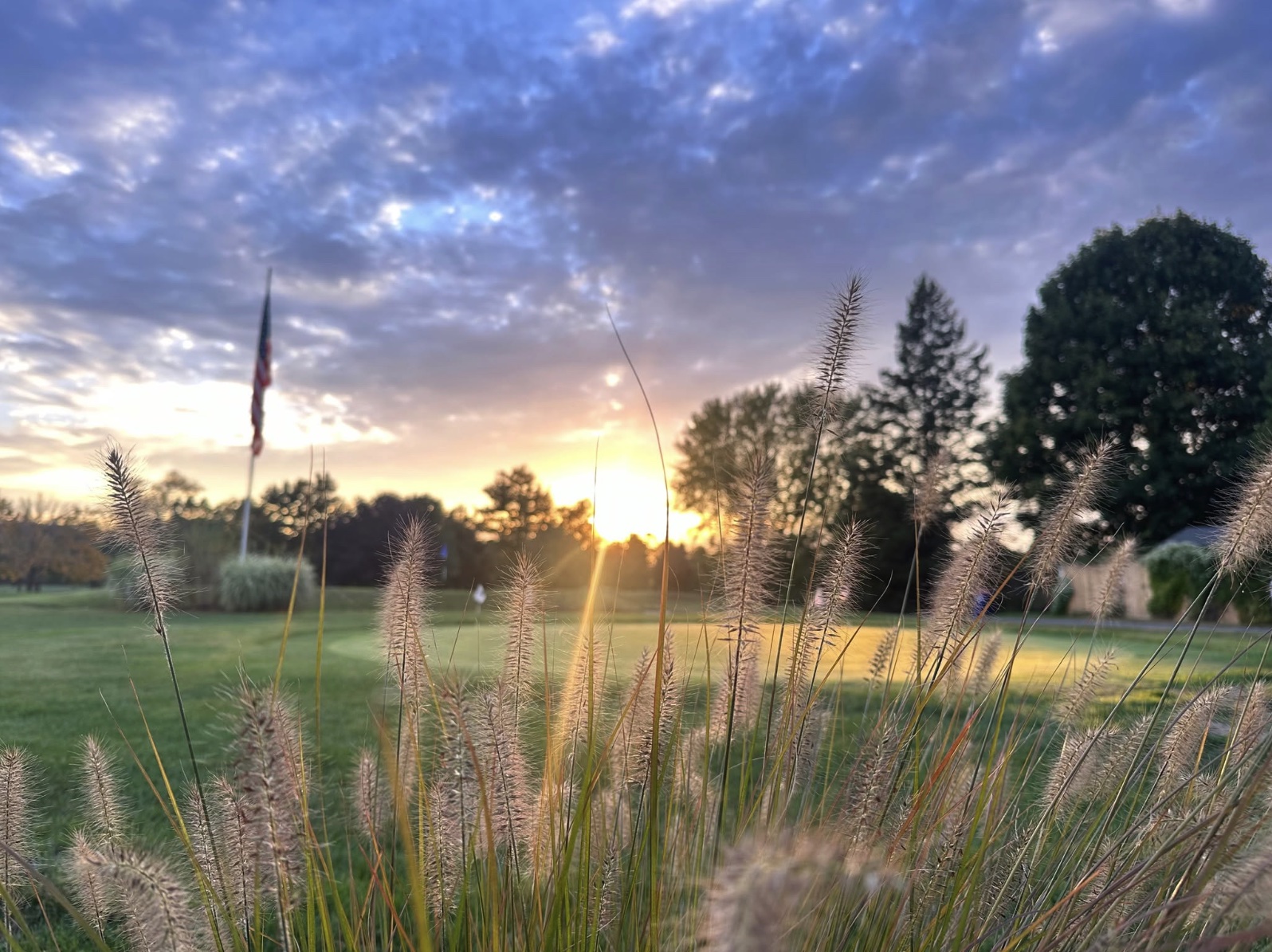 Golf course at golden hour
